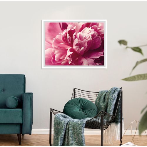 4049009914815 - Bild QUEENCE Andreas Bilder Gr B H 50 cm x 40 cm Wandbild Blumen Querformat rosa Kunstdrucke Rosen gerahmt 4049009914815 - Bild QUEENCE Andreas Bilder Gr B H 50 cm x 40 cm Wandbild Blumen Querformat rosa Kunstdrucke Rosen gerahmt