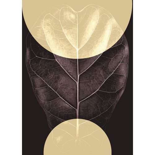4055065176913 - Bild KOMAR Shadow Theatre braun (farbe bild(er) braun) B50cm H70cm Papier Holz Bilder Wandbild zur Dekoration - ohne Rahmen 4055065176913 - Bild KOMAR Shadow Theatre braun (farbe bild(er) braun) B50cm H70cm Papier Holz Bilder Wandbild zur Dekoration - ohne Rahmen
