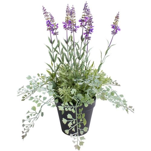 8505459125943 - Künstliche Zimmerpflanze BOTANIC-HAUS Lavendel - Kräutertopf Kunstpflanzen Gr Ø H 30 cm x 37 cm 1 St lila Künstliche Zimmerpflanzen 8505459125943 - Künstliche Zimmerpflanze BOTANIC-HAUS Lavendel - Kräutertopf Kunstpflanzen Gr Ø H 30 cm x 37 cm 1 St lila Künstliche Zimmerpflanzen