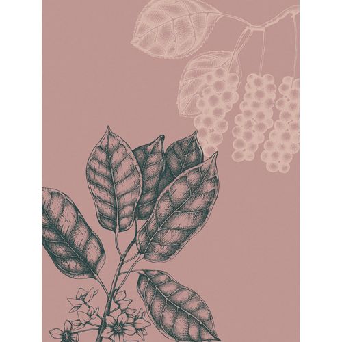 4055065177071 - Wandbild »Wild Berry« (1 St) Deutsches Premium-Poster Fotopapier mit seidenmatter Oberfläche und hoher Lichtbeständigkeit Für fotorealistische Drucke mit gestochen scharfen Details und hervorragender Farbbrillanz 4055065177071 - Wandbild »Wild Berry« (1 St) Deutsches Premium-Poster Fotopapier mit seidenmatter Oberfläche und hoher Lichtbeständigkeit Für fotorealistische Drucke mit gestochen scharfen Details und hervorragender Farbbrillanz