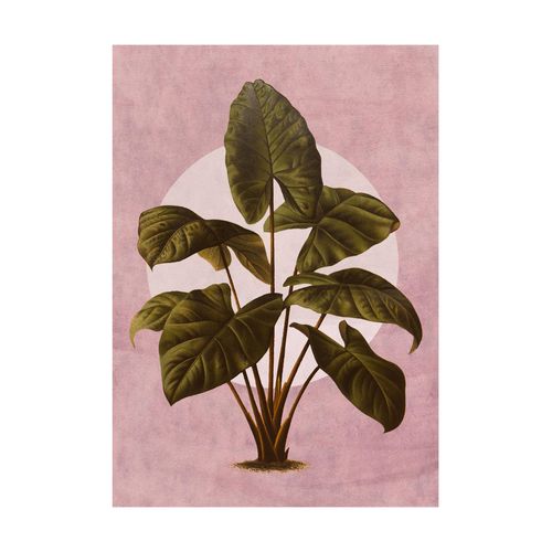 4055065178511 - Bild »Créatures Végétales« Natur (1 St) Wandbild zur Dekoration - ohne Rahmen 4055065178511 - Bild »Créatures Végétales« Natur (1 St) Wandbild zur Dekoration - ohne Rahmen