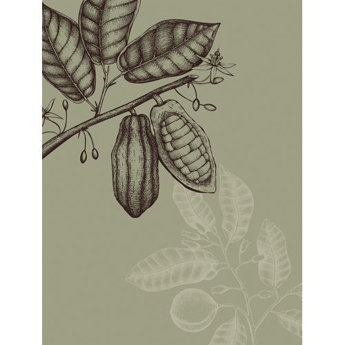 4055065177101 - Wandbild »Wild Cocoa« (1 St) Deutsches Premium-Poster Fotopapier mit seidenmatter Oberfläche und hoher Lichtbeständigkeit Für fotorealistische Drucke mit gestochen scharfen Details und hervorragender Farbbrillanz