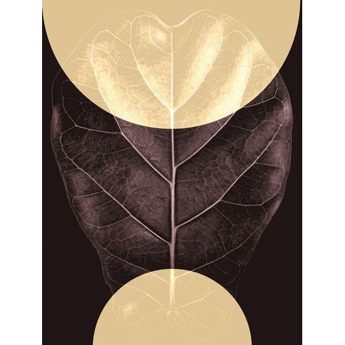 4055065176890 - Wandbild »Shadow Theatre« (1 St) Deutsches Premium-Poster Fotopapier mit seidenmatter Oberfläche und hoher Lichtbeständigkeit Für fotorealistische Drucke mit gestochen scharfen Details und hervorragender Farbbrillanz 4055065176890 - Wandbild »Shadow Theatre« (1 St) Deutsches Premium-Poster Fotopapier mit seidenmatter Oberfläche und hoher Lichtbeständigkeit Für fotorealistische Drucke mit gestochen scharfen Details und hervorragender Farbbrillanz