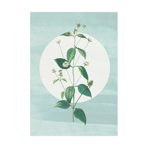 4055065178870 - Bild »Faire Pousser des Fraises« Natur (1 St) Wandbild zur Dekoration - ohne Rahmen 4055065178870 - Bild »Faire Pousser des Fraises« Natur (1 St) Wandbild zur Dekoration - ohne Rahmen