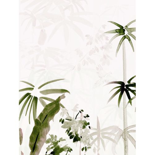 4055065178085 - Poster KOMAR Bamboo Drawing Bilder Gr B H 30 cm x 40 cm 1 St grün (grün weiß) Poster 4055065178085 - Poster KOMAR Bamboo Drawing Bilder Gr B H 30 cm x 40 cm 1 St grün (grün weiß) Poster