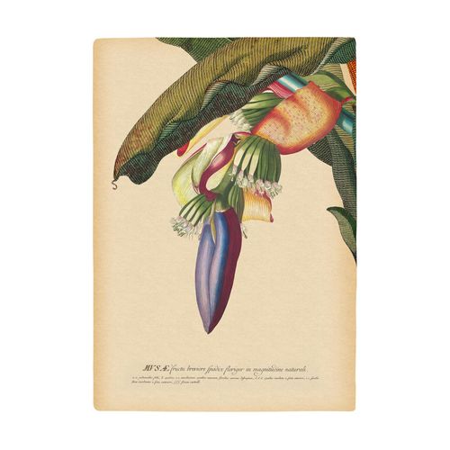 4055065178207 - Bild »Banana Heart« Natur (1 St) Wandbild zur Dekoration - ohne Rahmen 4055065178207 - Bild »Banana Heart« Natur (1 St) Wandbild zur Dekoration - ohne Rahmen