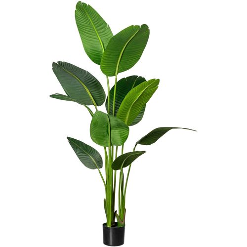 4064118971320 - Künstliche Zimmerpflanze CREATIV GREEN Strelitzia Kunstpflanzen Gr H 160 cm 1 St grün Künstliche Zimmerpflanzen