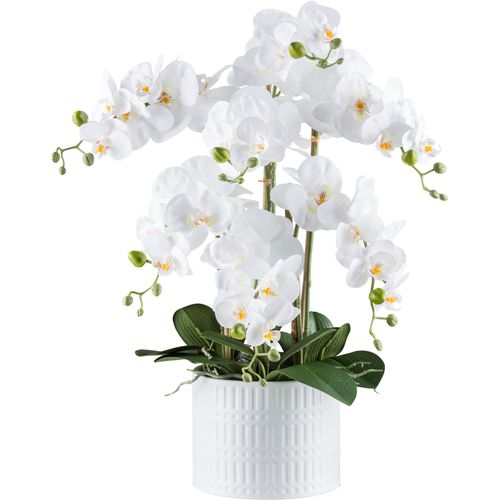 4064118241140 - Kunstorchidee CREATIV GREEN Orchidee Phalaenopsis weiß H60cm Kunststoff Kunstpflanzen mit real-touch-Blüten