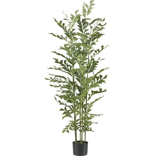 4064118192817 - Künstliche Pflanze Caryota mitis Palme Kunststofftopf Höhe 1500 mm kaiserkraft 4064118192817 - Künstliche Pflanze Caryota mitis Palme Kunststofftopf Höhe 1500 mm kaiserkraft