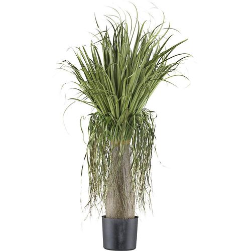4064118190769 - Künstliche Pflanze Beaucarnea Kunststofftopf 125 cm Höhe 1250 mm 4064118190769 - Künstliche Pflanze Beaucarnea Kunststofftopf 125 cm Höhe 1250 mm