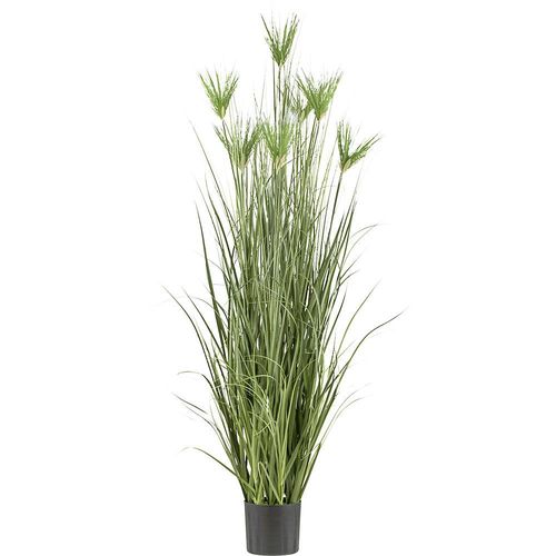 4064118184904 - Künstliche Pflanze Cyperus longus Gras Kunststofftopf Höhe 1800 mm 4064118184904 - Künstliche Pflanze Cyperus longus Gras Kunststofftopf Höhe 1800 mm