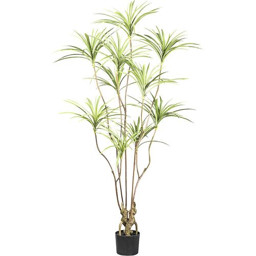4064118998730 - Dracaena Kunststofftopf Höhe 1800 mm