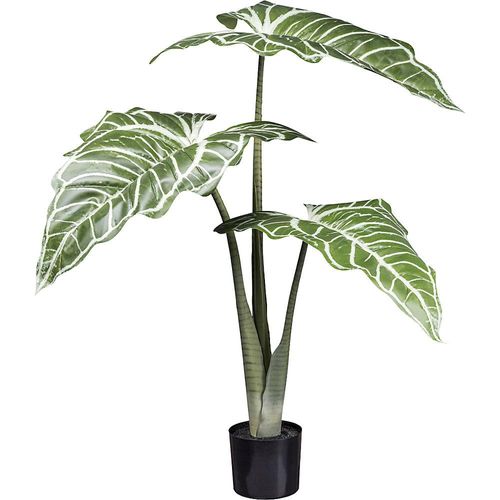 4064118110323 - Künstliche Pflanze Colocasia White Lava Kunststofftopf Höhe 1300 mm 4064118110323 - Künstliche Pflanze Colocasia White Lava Kunststofftopf Höhe 1300 mm