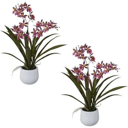 4064118274711 - Künstliche Pflanze Cambria-Orchidee VE 2 Stk Höhe 500 mm 4064118274711 - Künstliche Pflanze Cambria-Orchidee VE 2 Stk Höhe 500 mm