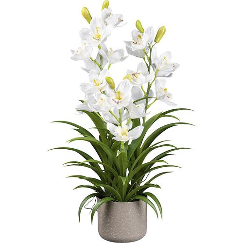 4064118990048 - Künstliche Orchidee Cymbidie Melamintopf Höhe 700 mm 4064118990048 - Künstliche Orchidee Cymbidie Melamintopf Höhe 700 mm
