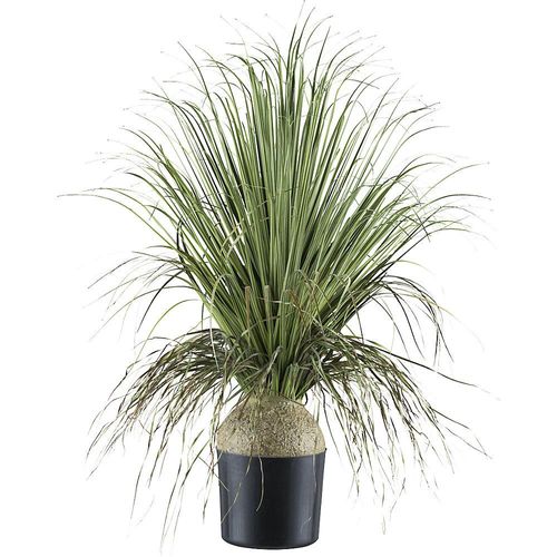4064118195788 - Künstliche Pflanze Beaucarnea Kunststofftopf Höhe 680 mm 4064118195788 - Künstliche Pflanze Beaucarnea Kunststofftopf Höhe 680 mm