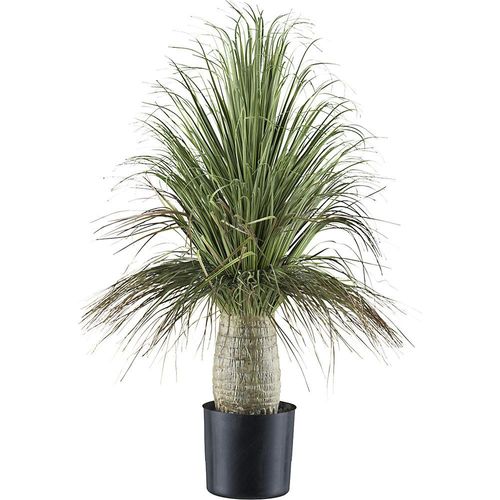 4064118195771 - Künstliche Pflanze Beaucarnea Kunststofftopf Höhe 600 mm 4064118195771 - Künstliche Pflanze Beaucarnea Kunststofftopf Höhe 600 mm