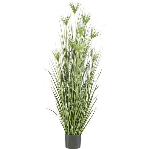 4064118184911 - Künstliche Pflanze Cyperus longus Gras Kunststofftopf Höhe 2100 mm 4064118184911 - Künstliche Pflanze Cyperus longus Gras Kunststofftopf Höhe 2100 mm