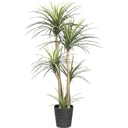 4064118110156 - Dracaena Kunststofftopf Höhe 1600 mm