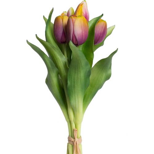 4260600493923 - Kunstblume BOTANIC-HAUS Willa Kunstpflanzen Gr B H 16 cm x 32 cm 7 St bunt (mauve gelb) Kunst-Blumen Tulpenbündel im 7er-Set 4260600493923 - Kunstblume BOTANIC-HAUS Willa Kunstpflanzen Gr B H 16 cm x 32 cm 7 St bunt (mauve gelb) Kunst-Blumen Tulpenbündel im 7er-Set