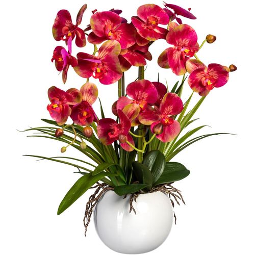 4064118072355 - Kunstorchidee CREATIV GREEN Phalaenopsis beige (creme pink) H58cm Obermaterial 90% Kunststoff 10% Polyester Kunstpflanzen im Keramiktopf 4064118072355 - Kunstorchidee CREATIV GREEN Phalaenopsis beige (creme pink) H58cm Obermaterial 90% Kunststoff 10% Polyester Kunstpflanzen im Keramiktopf