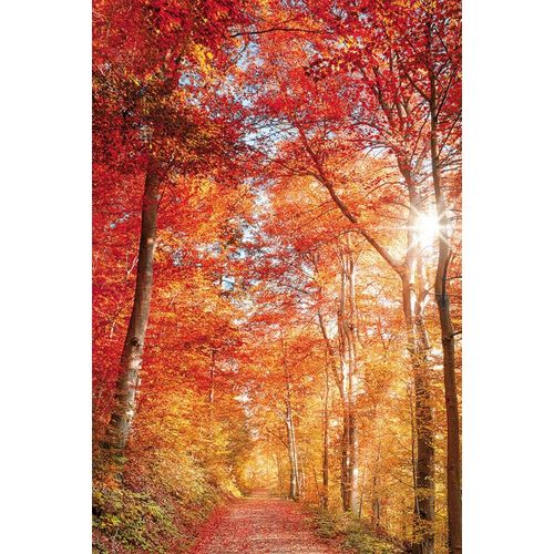 4032295093876 - Leinwandbild BÖNNINGHOFF rot (farbe bild(er) rot orang) B90cm H60cm T18cm Canvas MDF Bilder 4032295093876 - Leinwandbild BÖNNINGHOFF rot (farbe bild(er) rot orang) B90cm H60cm T18cm Canvas MDF Bilder
