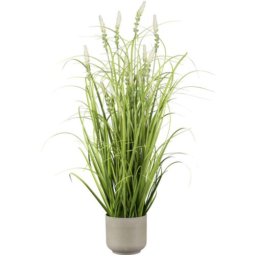 4064118320425 - Kunstgras CREATIV GREEN Grasbusch mit Salvienblüten grün H75cm Kunststoff Kunstpflanzen mit detailgetreuen Blüten und Grashalmen 4064118320425 - Kunstgras CREATIV GREEN Grasbusch mit Salvienblüten grün H75cm Kunststoff Kunstpflanzen mit detailgetreuen Blüten und Grashalmen
