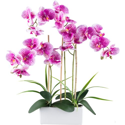 4064118240723 - Kunstorchidee CREATIV GREEN Orchidee Phalaenopsis lila H58cm Kunststoff Kunstpflanzen mit Graszweigen arrangiert 4064118240723 - Kunstorchidee CREATIV GREEN Orchidee Phalaenopsis lila H58cm Kunststoff Kunstpflanzen mit Graszweigen arrangiert
