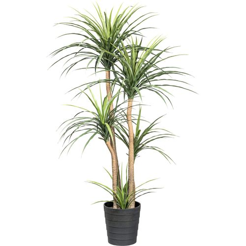 4064118182023 - Kunstpflanze CREATIV GREEN Dracaena Kunstpflanzen Gr H 24 cm 1 St grün Künstliche Zimmerpflanzen auf 5 Stämmen 4064118182023 - Kunstpflanze CREATIV GREEN Dracaena Kunstpflanzen Gr H 24 cm 1 St grün Künstliche Zimmerpflanzen auf 5 Stämmen