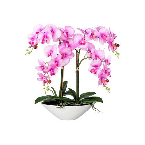 4064118051329 - Kunstorchidee GASPER pink Kunstpflanzen B H 35cm x 53cm Keramik Kunststoff B35cm H53cm T14cm 4064118051329 - Kunstorchidee GASPER pink Kunstpflanzen B H 35cm x 53cm Keramik Kunststoff B35cm H53cm T14cm