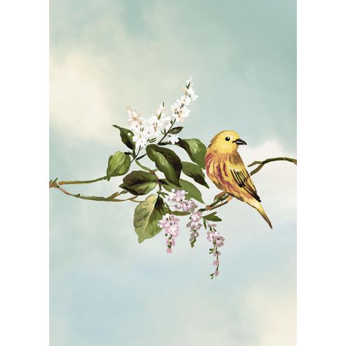 4055065178979 - Bild KOMAR Gazouillis des Oiseaux bunt (farbe bild(er) bunt) B50cm H70cm Papier Holz Bilder Wandbild zur Dekoration - ohne Rahmen 4055065178979 - Bild KOMAR Gazouillis des Oiseaux bunt (farbe bild(er) bunt) B50cm H70cm Papier Holz Bilder Wandbild zur Dekoration - ohne Rahmen