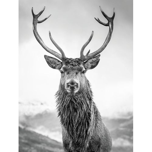 4032295089879 - Leinwandbild BÖNNINGHOFF grau (farbe rahmen kein rahmen farbe bild(er) grau) B46cm H61cm T18cm Canvas Bilder BxH 46x61 cm 4032295089879 - Leinwandbild BÖNNINGHOFF grau (farbe rahmen kein rahmen farbe bild(er) grau) B46cm H61cm T18cm Canvas Bilder BxH 46x61 cm