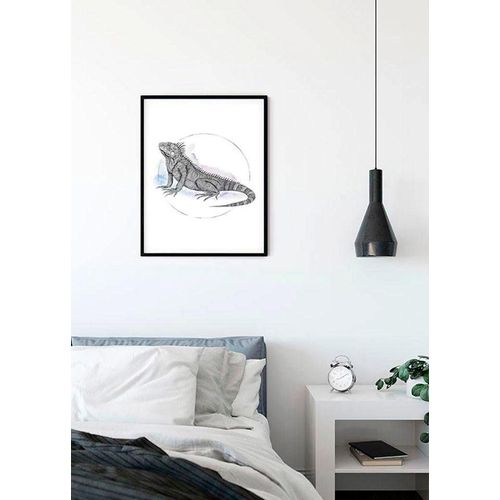 4055065152054 - Bild KOMAR Iguana Watercolor bunt (farbe bild(er) bunt) B40cm H50cm Papier Holz Bilder Wandbild zur Dekoration - ohne Rahmen 4055065152054 - Bild KOMAR Iguana Watercolor bunt (farbe bild(er) bunt) B40cm H50cm Papier Holz Bilder Wandbild zur Dekoration - ohne Rahmen