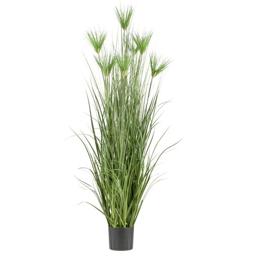 4064118242437 - Kunstgras CREATIV GREEN Zyperngras grün H180cm Kunststoff Kunstpflanzen mit sieben Zyperngrasblüten 4064118242437 - Kunstgras CREATIV GREEN Zyperngras grün H180cm Kunststoff Kunstpflanzen mit sieben Zyperngrasblüten