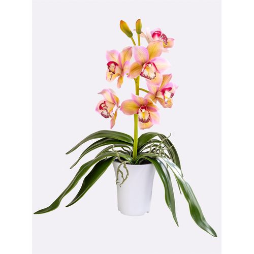 4064118191087 - Kunstorchidee GASPER grün (grün rosé) B60cm H56cm T24cm Kunststoff Kunstpflanzen