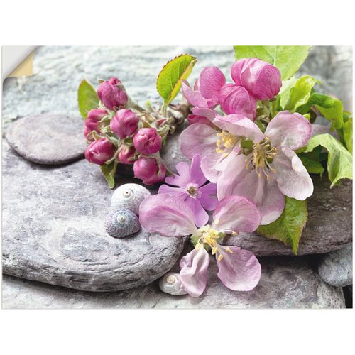 4057738843412 - Wandbild ARTLAND Apfelblüten Bilder Gr B H 40 cm x 30 cm Wandaufkleber - Vinyl Blumen Querformat 1 St pink Bild Metallbild Metallbilder Bilder als Alubild Leinwandbild Wandaufkleber oder Poster in versch Größen 4057738843412 - Wandbild ARTLAND Apfelblüten Bilder Gr B H 40 cm x 30 cm Wandaufkleber - Vinyl Blumen Querformat 1 St pink Bild Metallbild Metallbilder Bilder als Alubild Leinwandbild Wandaufkleber oder Poster in versch Größen