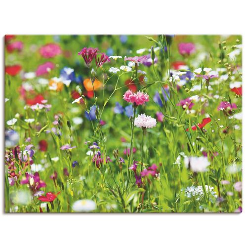 4055327881388 - Wandbild ARTLAND Blumenwiese I Bilder Gr B H 40 cm x 30 cm Leinwandbild Blumenwiese Querformat 1 St grün Bild Poster Bilder als Leinwandbild Wandaufkleber oder in versch Größen 4055327881388 - Wandbild ARTLAND Blumenwiese I Bilder Gr B H 40 cm x 30 cm Leinwandbild Blumenwiese Querformat 1 St grün Bild Poster Bilder als Leinwandbild Wandaufkleber oder in versch Größen