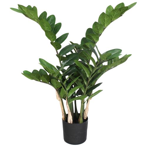 4003529986905 - Kunstpflanze CREATIV GREEN Zamifolia Kunstpflanzen Gr H 70 cm 1 St grün Künstliche Zimmerpflanze Kunstpflanze Zimmerpflanzen Kunstpflanzen 4003529986905 - Kunstpflanze CREATIV GREEN Zamifolia Kunstpflanzen Gr H 70 cm 1 St grün Künstliche Zimmerpflanze Kunstpflanze Zimmerpflanzen Kunstpflanzen
