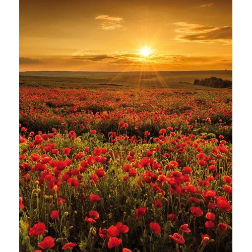 4032295092190 - Leinwandbild BÖNNINGHOFF rot (farbe bild(er) rotgrün) B118cm H140cm T43cm Canvas MDF Bilder 4032295092190 - Leinwandbild BÖNNINGHOFF rot (farbe bild(er) rotgrün) B118cm H140cm T43cm Canvas MDF Bilder