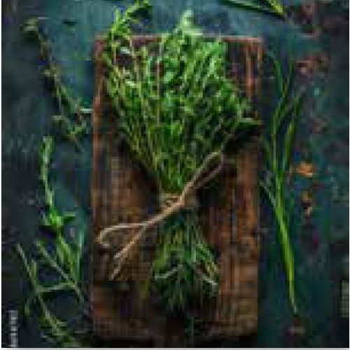 4019449519680 - Glasbild HERBAL BUNCH 4019449519680 - Glasbild HERBAL BUNCH