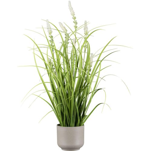 4064118320401 - Kunstgras CREATIV GREEN Grasbusch mit Salvienblüten grün H48cm Kunststoff Kunstpflanzen mit detailgetreuen Blüten und Grashalmen 4064118320401 - Kunstgras CREATIV GREEN Grasbusch mit Salvienblüten grün H48cm Kunststoff Kunstpflanzen mit detailgetreuen Blüten und Grashalmen