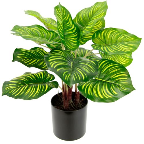 4019844760687 - Künstliche Zimmerpflanze IGEA Maranthus Kunstpflanzen Gr B H L 35 cm x 40 cm x 30 cm grün Zimmerpflanze Künstliche Zimmerpflanzen Kunstpflanzen 4019844760687 - Künstliche Zimmerpflanze IGEA Maranthus Kunstpflanzen Gr B H L 35 cm x 40 cm x 30 cm grün Zimmerpflanze Künstliche Zimmerpflanzen Kunstpflanzen