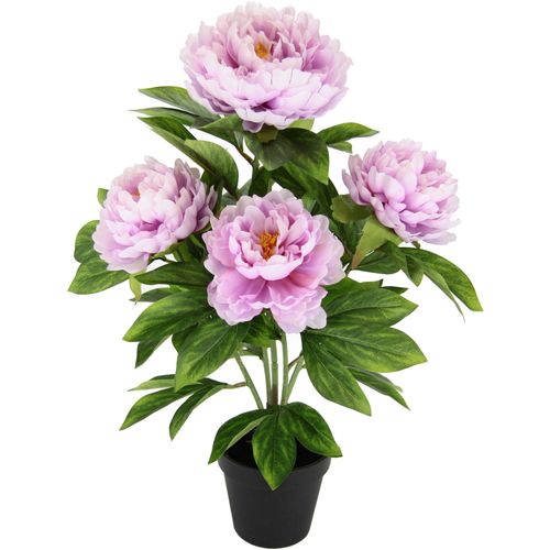 4019844780401 - Kunstblume IGEA Päonie rosa B30cm H54cm L30cm Obermaterial 90% Polyester 10% Kunststoff Kunstpflanzen Seidenblumen 4019844780401 - Kunstblume IGEA Päonie rosa B30cm H54cm L30cm Obermaterial 90% Polyester 10% Kunststoff Kunstpflanzen Seidenblumen