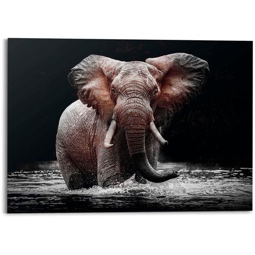 8714597626575 - Deco-Panel REINDERS Elefant schwarz (farbe bild(er) schwarz) B140cm H100cm T2cm MDF Bilder