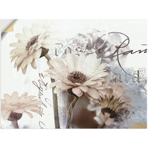 4062144557020 - Wandbild ARTLAND Gerberas_Detail Bilder Gr B H 60 cm x 45 cm Wandaufkleber - Vinyl Blumenbilder Querformat 1 St weiß Kunstdrucke als Leinwandbild Wandaufkleber oder Poster in versch Größen 4062144557020 - Wandbild ARTLAND Gerberas_Detail Bilder Gr B H 60 cm x 45 cm Wandaufkleber - Vinyl Blumenbilder Querformat 1 St weiß Kunstdrucke als Leinwandbild Wandaufkleber oder Poster in versch Größen