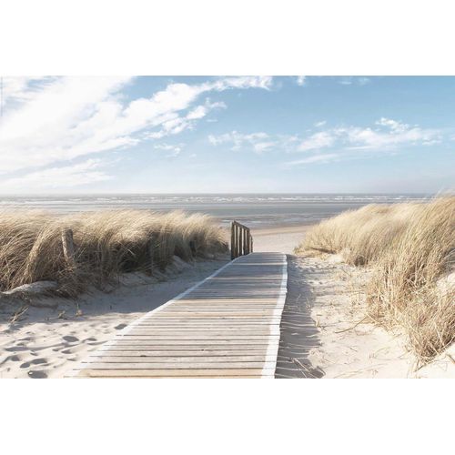 8714597520705 - Deco-Panel REINDERS Nordsee Dünen Bilder Gr B H 90 cm x 60 cm grün (khaki) Kunstdrucke Bilder 8714597520705 - Deco-Panel REINDERS Nordsee Dünen Bilder Gr B H 90 cm x 60 cm grün (khaki) Kunstdrucke Bilder