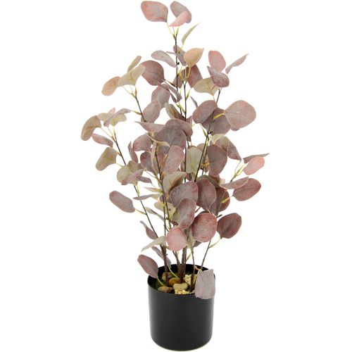 4019844763985 - Kunstpflanze IGEA Eukalyptus Kunstpflanzen Gr B H 27 cm x 60 cm rot (burgund) Künstliche Zimmerpflanzen Im Topf mit Natursteinchen 4019844763985 - Kunstpflanze IGEA Eukalyptus Kunstpflanzen Gr B H 27 cm x 60 cm rot (burgund) Künstliche Zimmerpflanzen Im Topf mit Natursteinchen