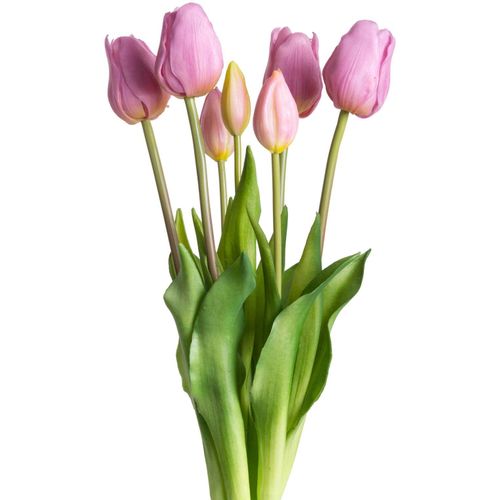 8505458701797 - Kunstblume BOTANIC-HAUS Tulpenbündel Kunstpflanzen Gr Ø H 20 cm x 47 cm 1 St lila (mauve) Kunst-Blumen Kunstpflanzen 8505458701797 - Kunstblume BOTANIC-HAUS Tulpenbündel Kunstpflanzen Gr Ø H 20 cm x 47 cm 1 St lila (mauve) Kunst-Blumen Kunstpflanzen