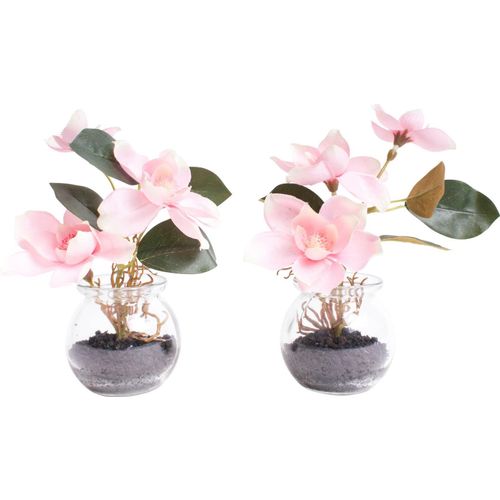 8505459249571 - Kunstblume BOTANIC-HAUS Magnolie im Glas Kunstpflanzen Gr Ø H 14 cm x 18 cm 2 St rosa (creme rosa) Kunst-Blumen 8505459249571 - Kunstblume BOTANIC-HAUS Magnolie im Glas Kunstpflanzen Gr Ø H 14 cm x 18 cm 2 St rosa (creme rosa) Kunst-Blumen