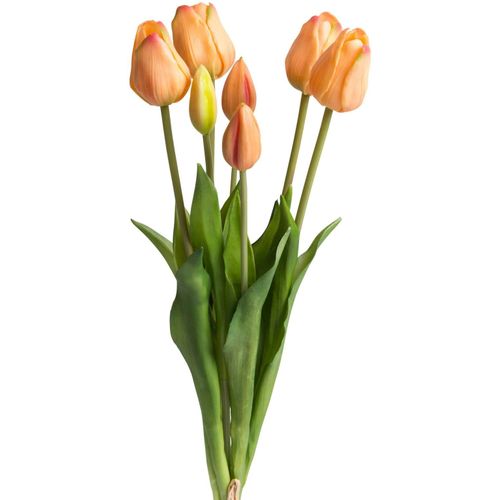 8505458701742 - Kunstblume BOTANIC-HAUS Tulpenbündel real Touch Kunstpflanzen Gr Ø H 20 cm x 47 cm 1 St rot (lachs) Kunst-Blumen 8505458701742 - Kunstblume BOTANIC-HAUS Tulpenbündel real Touch Kunstpflanzen Gr Ø H 20 cm x 47 cm 1 St rot (lachs) Kunst-Blumen